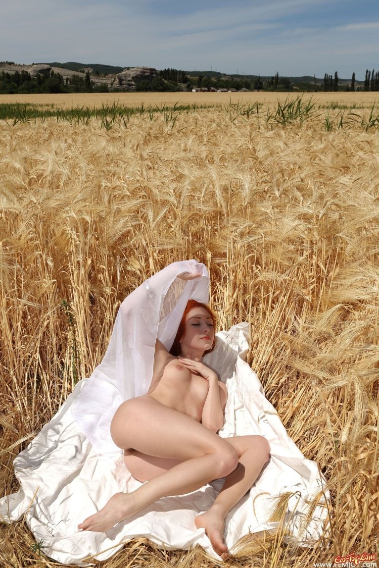 Ero photo shoot in wheat fields