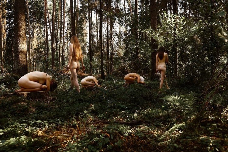 Erotic photo shoot in the forest