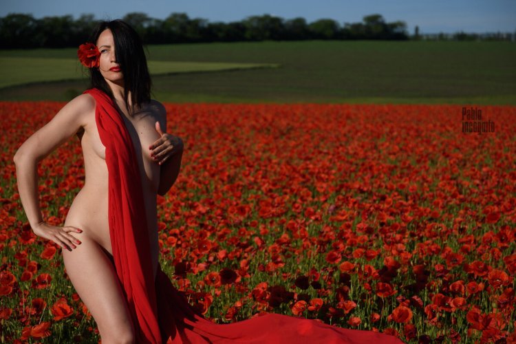 Poppy field photo shoot