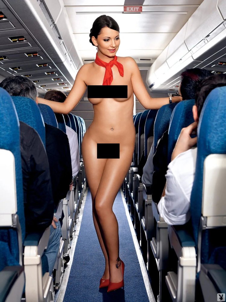 Stewardess Erotica