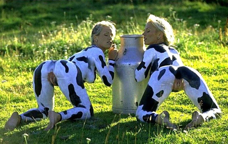 Girls of cows