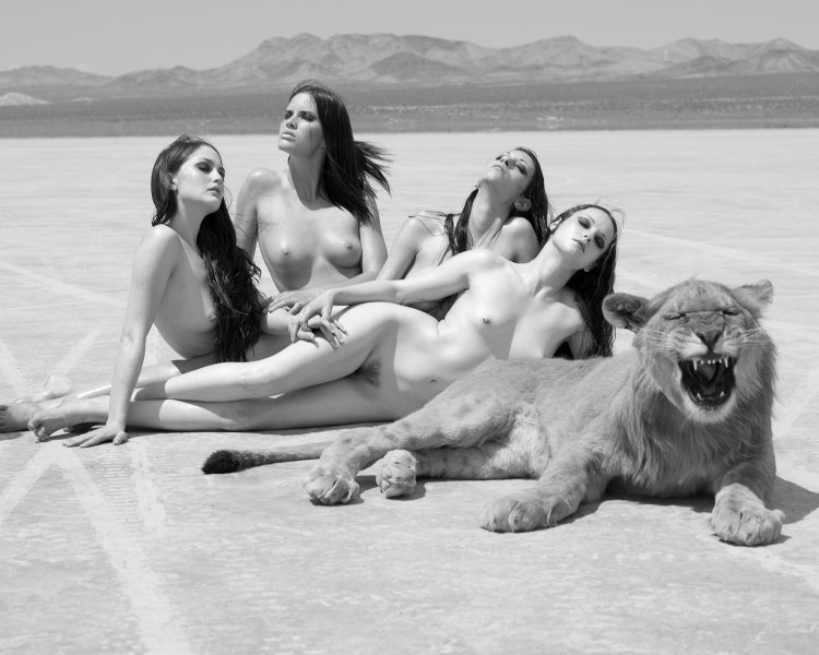 Naked girls with animals