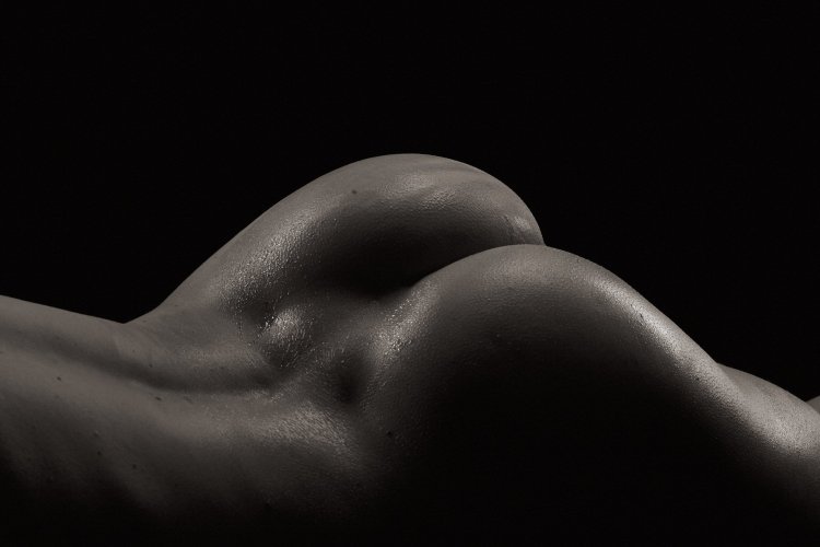 Beautiful lines of the female body nude vulva