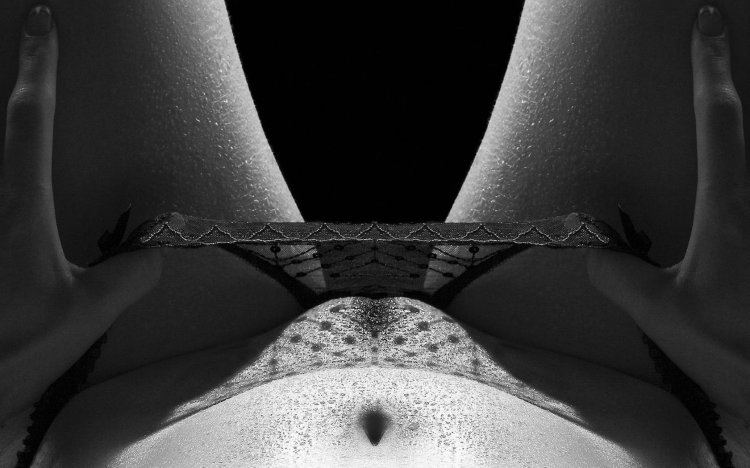 Feminine pubis in erotic lingerie