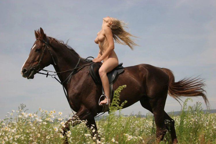 Rider naked on a horse