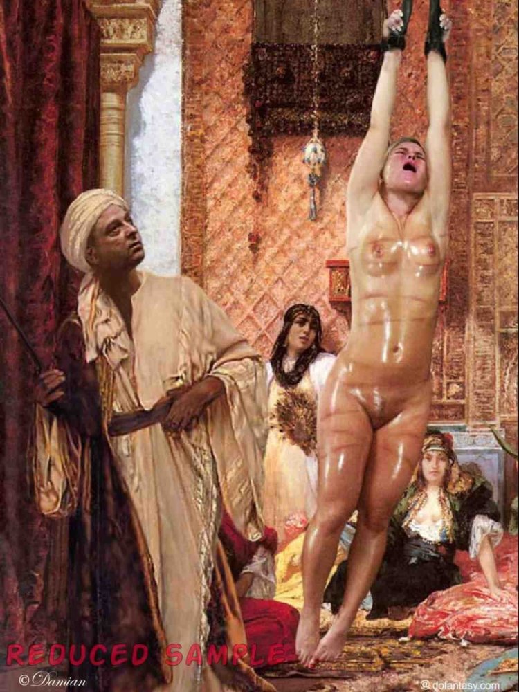 Harem Erotica