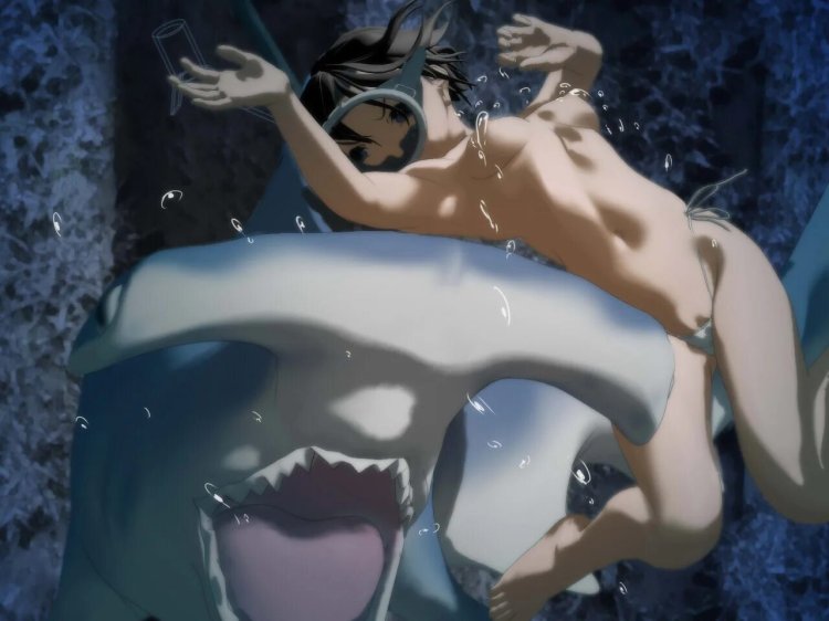 Anime shark