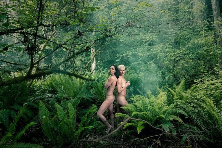 Erotica in the forest