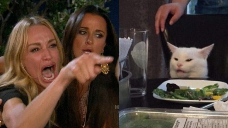 Meme with a cat and two women