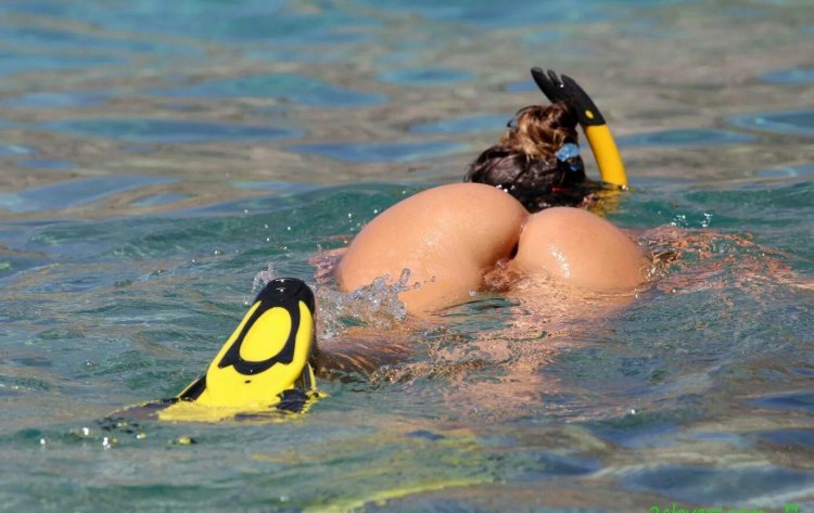 Swimming with scuba ducks