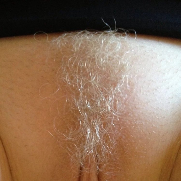 Blond hair on female pubis