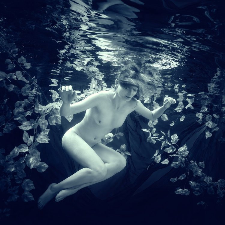 Dmitry Laudin Underwater Fairies